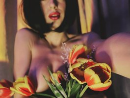 Mussaenda live cam