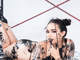 Nicorobin live cam