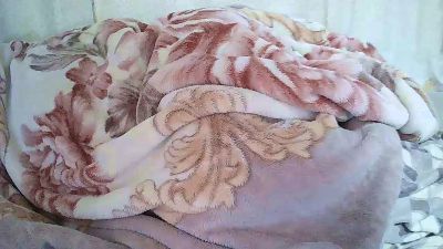 Anita341 cam4 live cam model