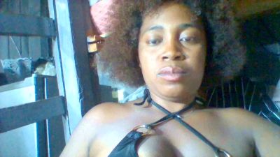 Beee live cam