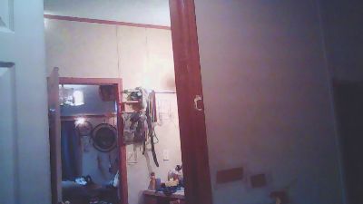 ClydeCan409 live cam
