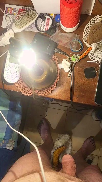 Dantecm8 cam4 live cam model