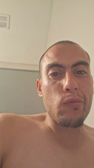 Gers452 cam4 live cam model