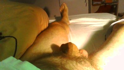 Teodic live cam