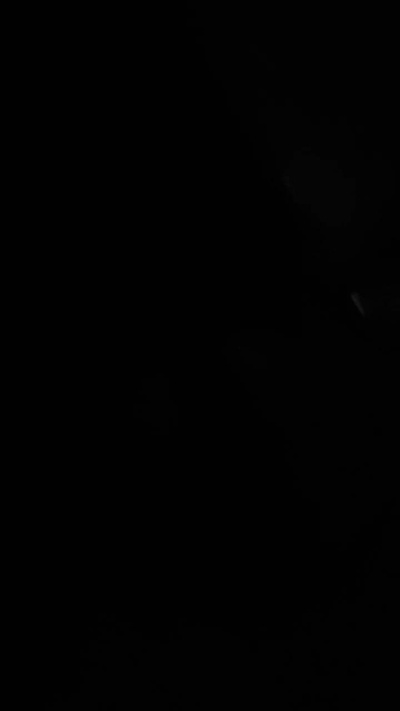 _pervers live cam