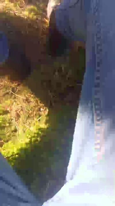 wolfi80 cam4 live cam model