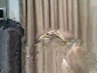 princesspyt camsoda live cam model
