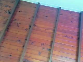megan-charles camsoda live cam model