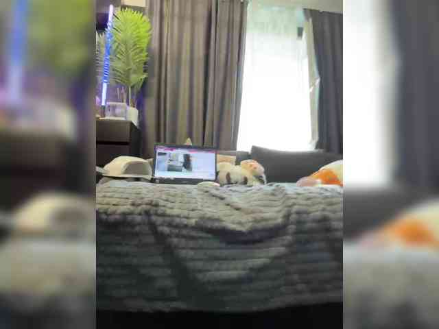 Vero19nika bongacams live cam model