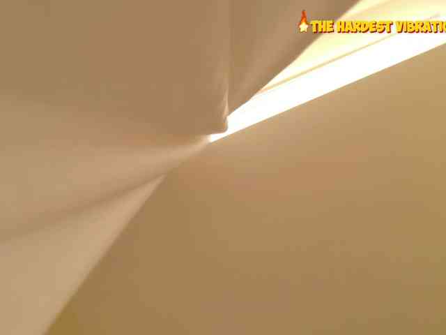 Fox-Lisa bongacams live cam model