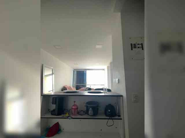 PaulinRoss bongacams live cam model