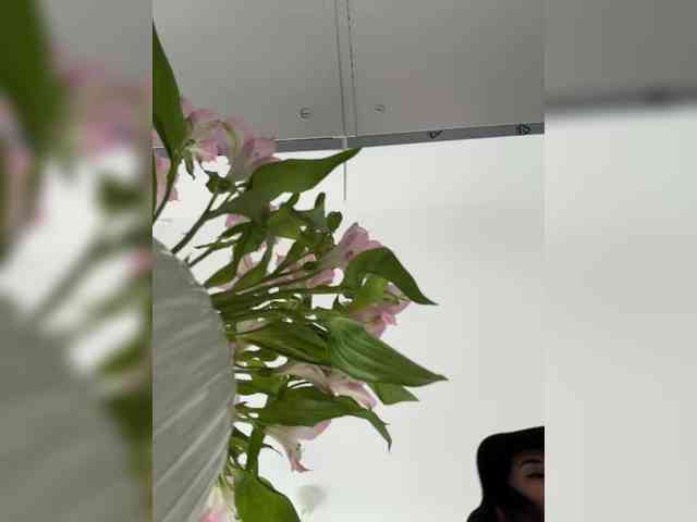 Kiss-krisss bongacams live cam model