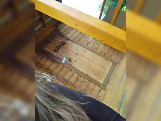 Angelia22 bongacams live cam model