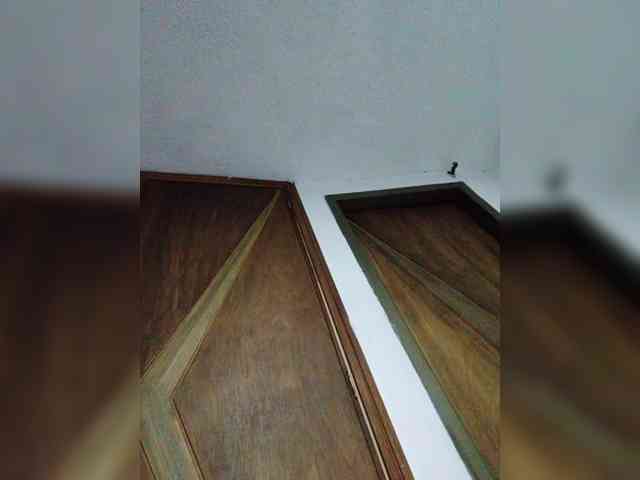 Marcela98 bongacams live cam model