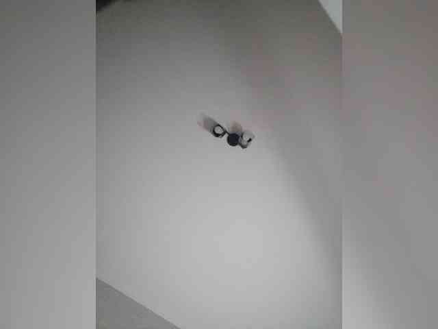 Arina979797 bongacams live cam model
