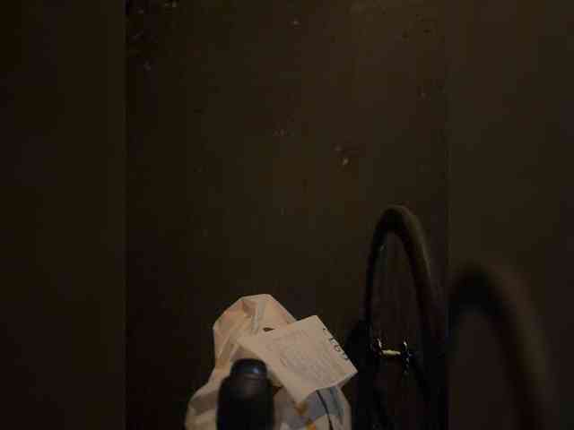 aniram2221 bongacams live cam model