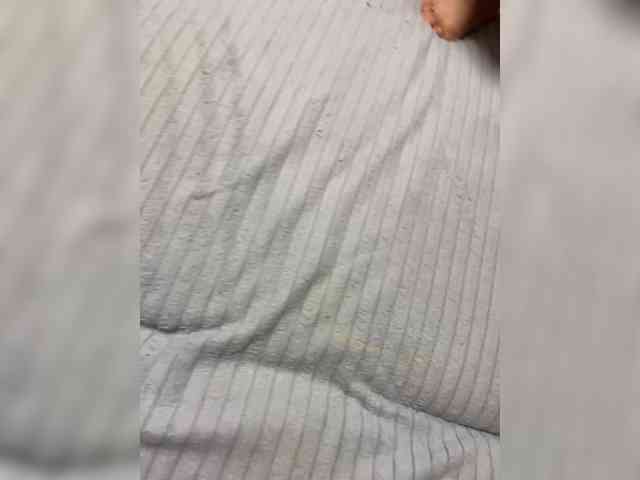 Relfia bongacams live cam model