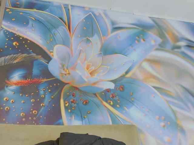 blaisysmith bongacams live cam model