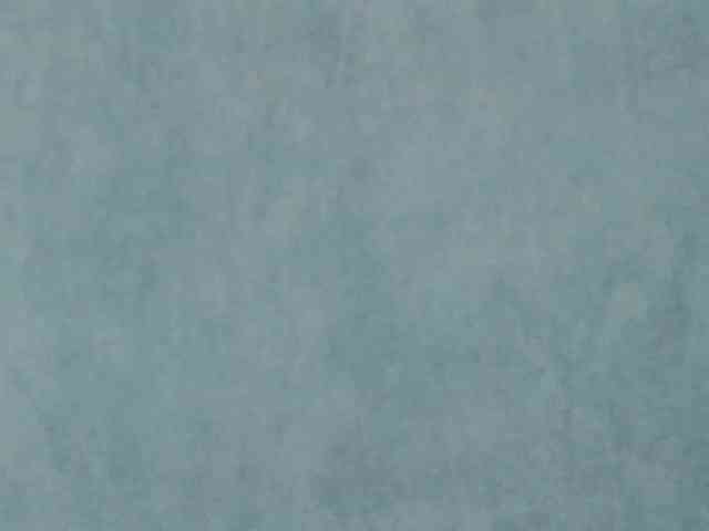 Evelisse bongacams live cam model
