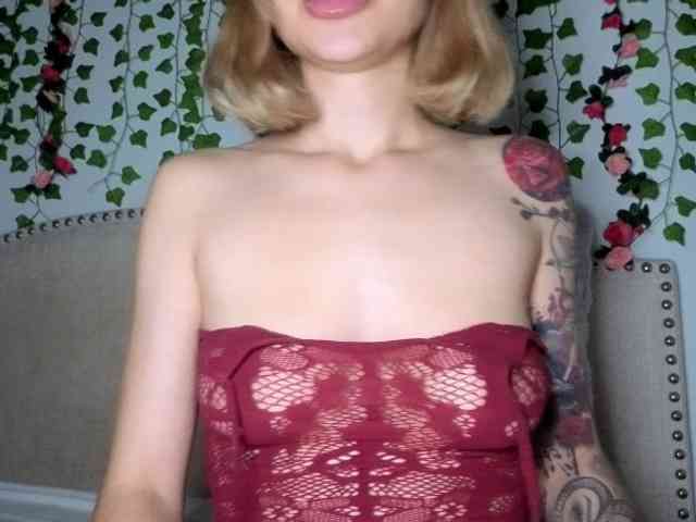 Xoxcat bongacams live cam model