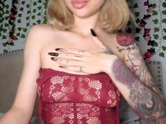 Xoxcat bongacams live cam model