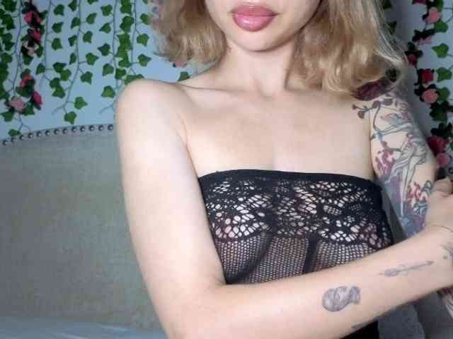 Xoxcat bongacams live cam model