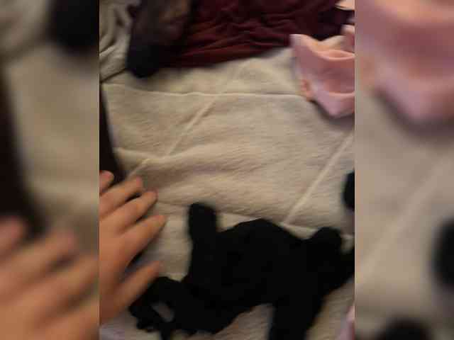 Youlove2 bongacams live cam model