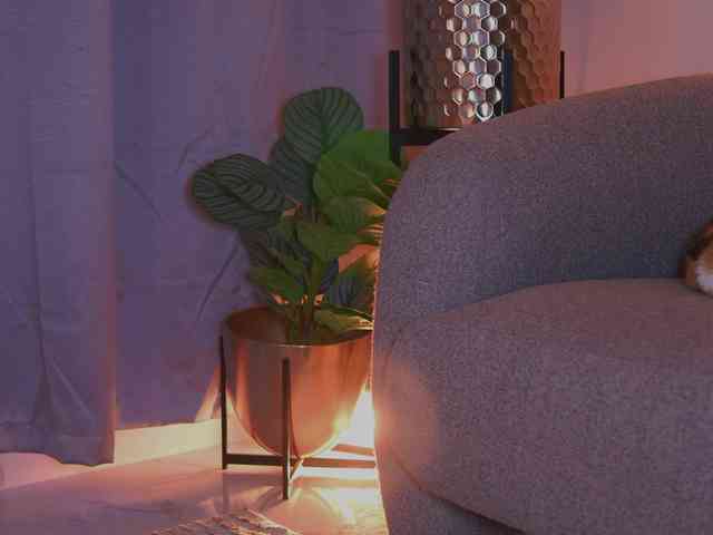 MelyTaylor bongacams live cam model