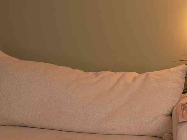 minimolly bongacams live cam model