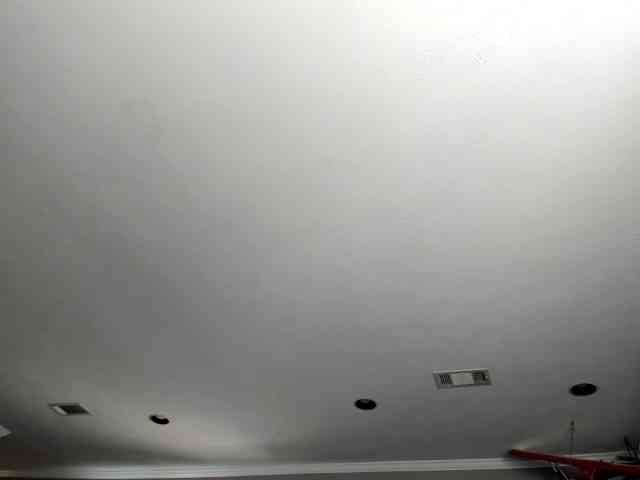 Adellebunny bongacams live cam model