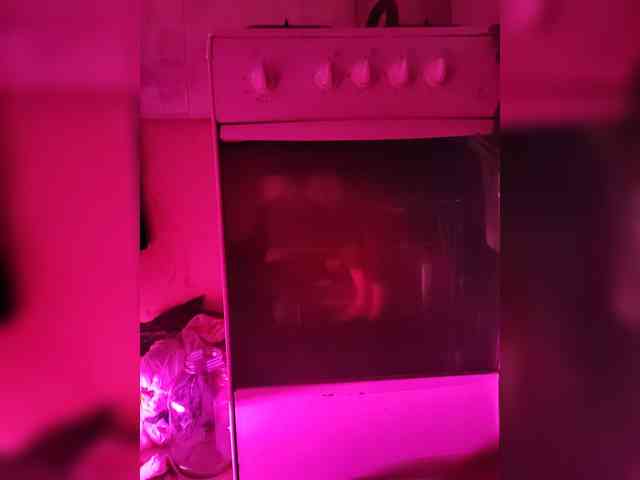 Bessandkaty55 bongacams live cam model
