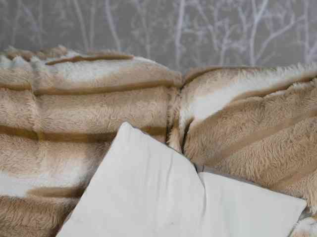 AlisaFreshly bongacams live cam model