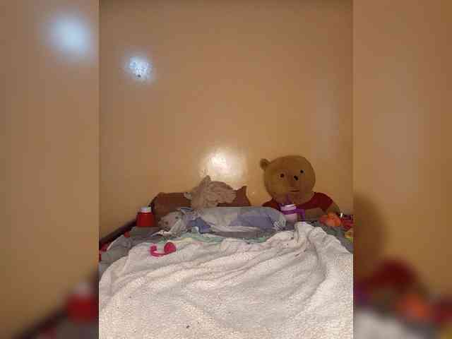 COUGAR-AND-CUB bongacams live cam model