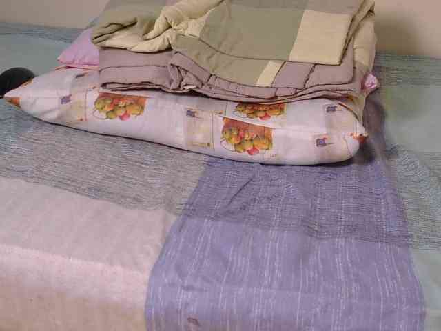 Queendotty bongacams live cam model