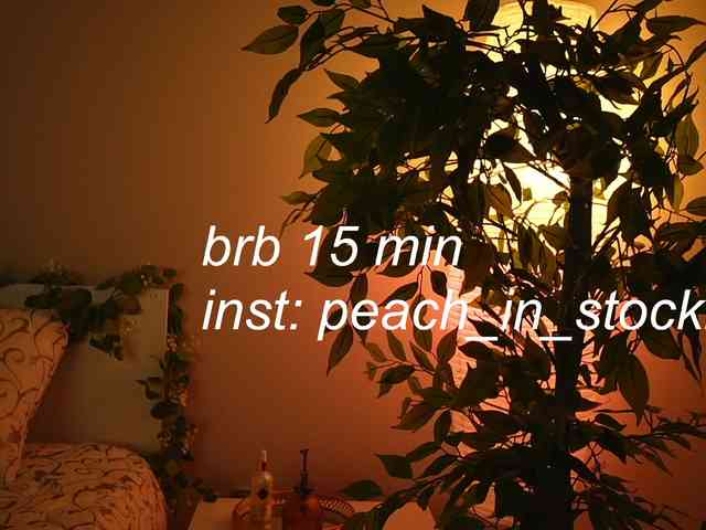 peachinstockings bongacams live cam model