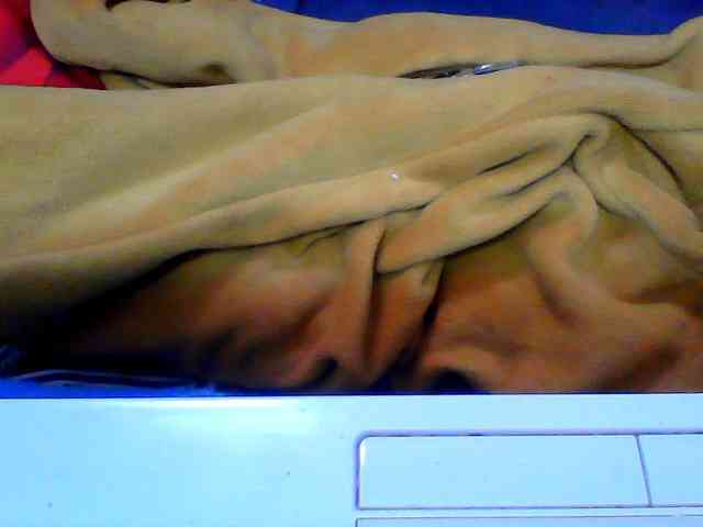 Clarah1 bongacams live cam model