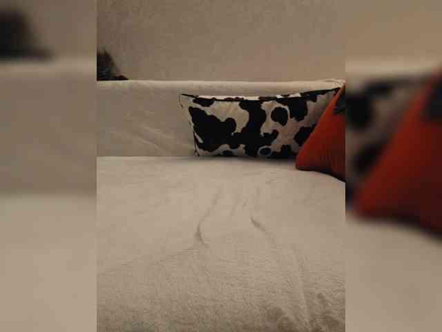 NotYourMuse1 bongacams live cam model