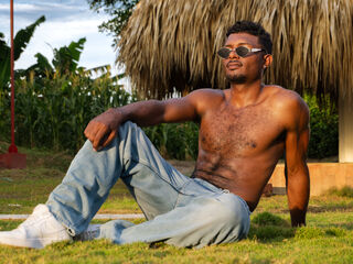 DrakeWilson livejasmin live cam model