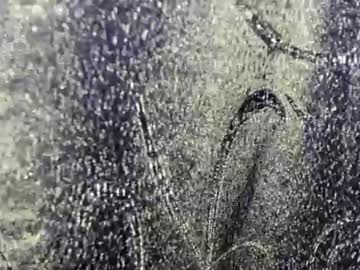 kitten_blue live cam