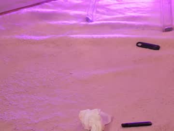 siennachantal live cam