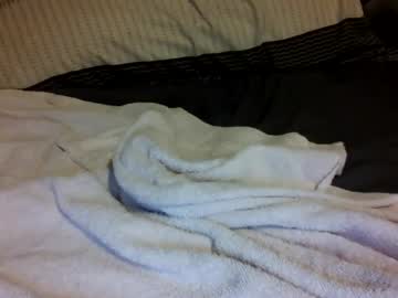 wellhungsilverdaddy chaturbate live cam model