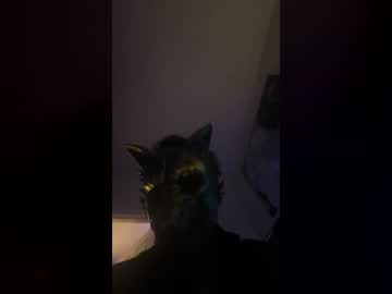 wolfmaster_ Live Cam on chaturbate
