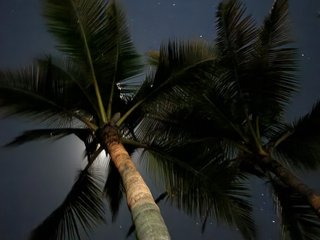 Aaron110011 streamate live cam model