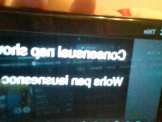 Willoxoxo streamate live cam model