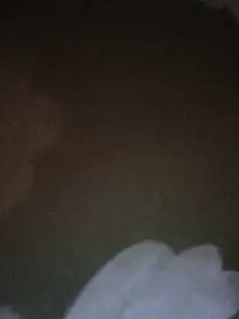 Mohni_bhabiji stripchat live cam model