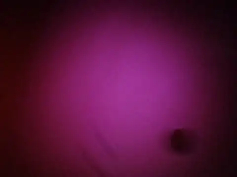 JoeyUhOh stripchat live cam model