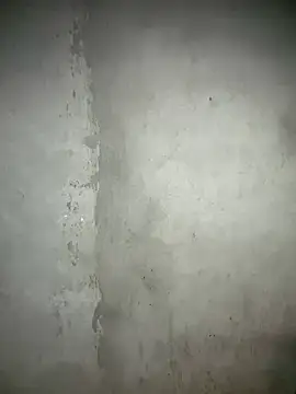 Indian_Couple_Live stripchat live cam model