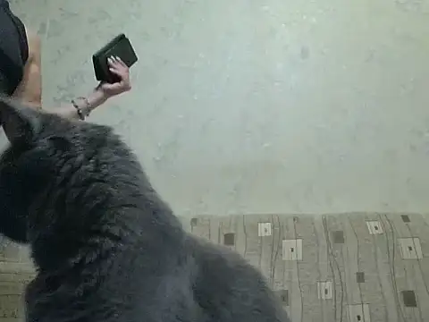 JeaneDavis stripchat live cam model