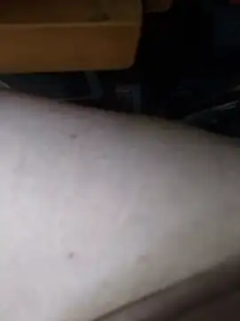 Poipoi__30 stripchat live cam model