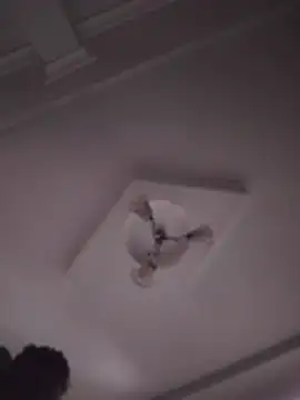 Sweet-boboh stripchat live cam model